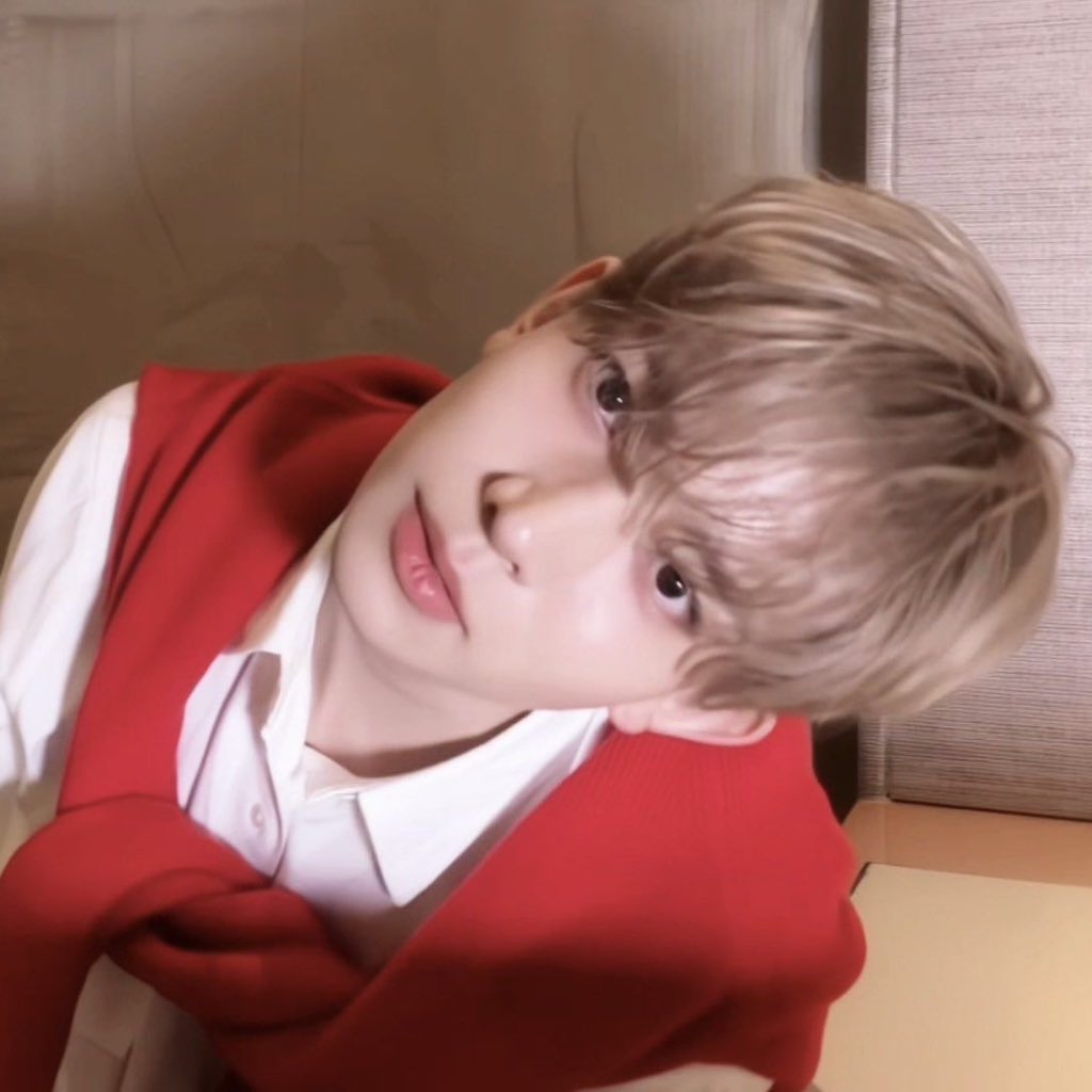 ✿ heaven희 ˚₊· tweet media