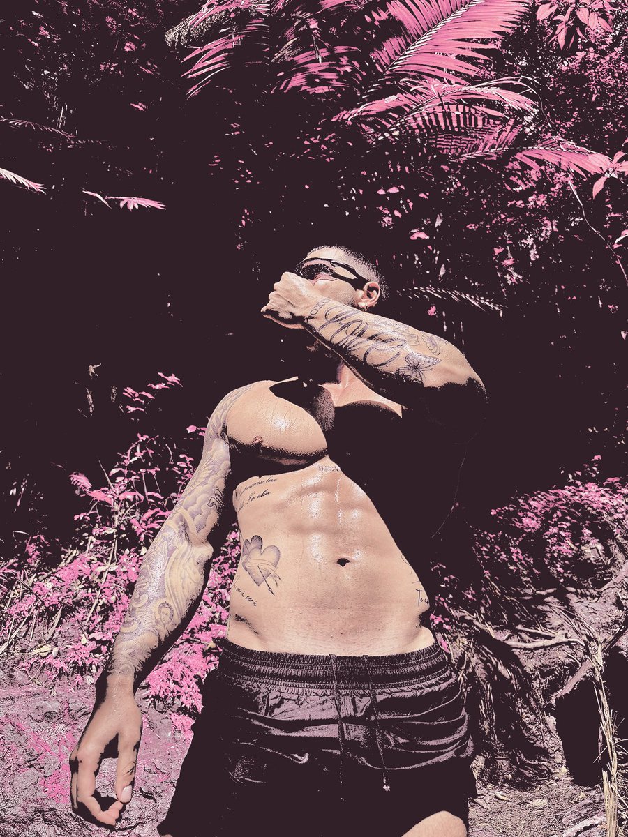 ๐ฐ๐๐๐๐: ๐ ๐๐๐๐๐ tweet media