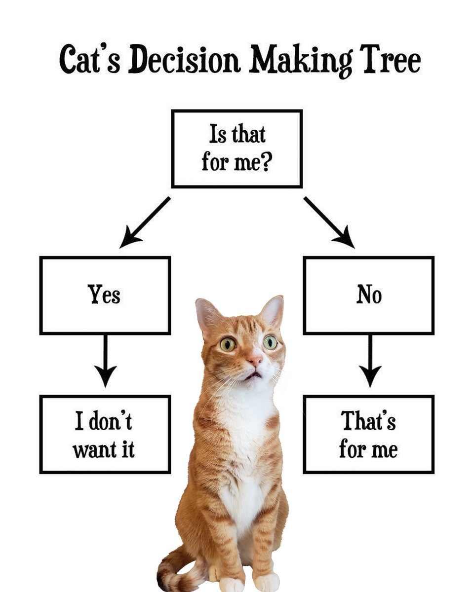 Cole & Marmalade tweet media