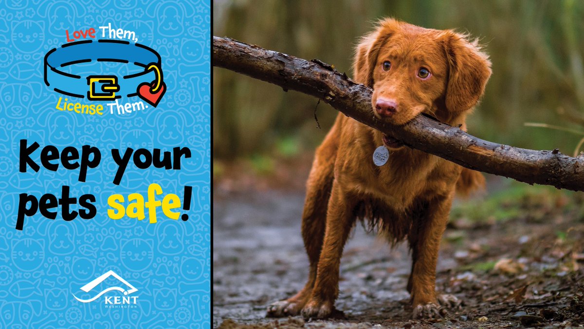 City of Kent tweet media