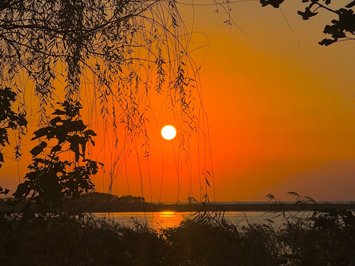 Paul white tweet media