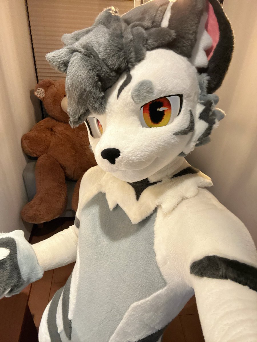 银碳Gintan➡️関西けもケット tweet media