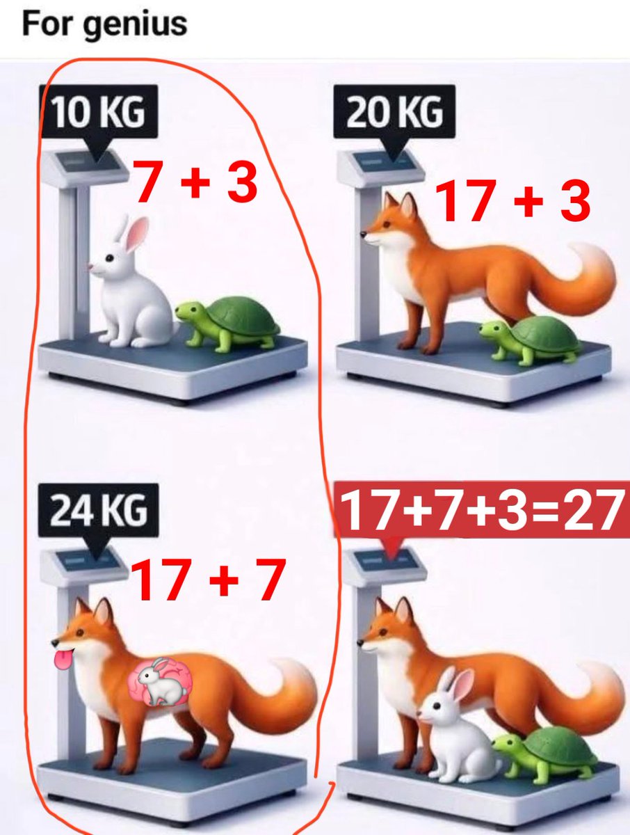 .samira; tweet media