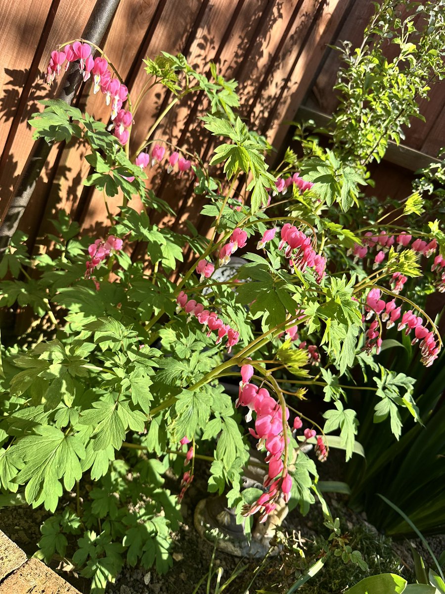 𝑀𝒾𝒶 tweet media