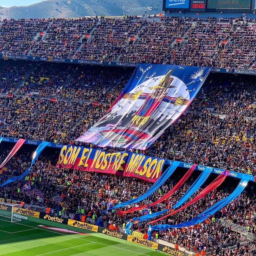 MJ🅱️ᶜʳᶠ🦊🐭 tweet media