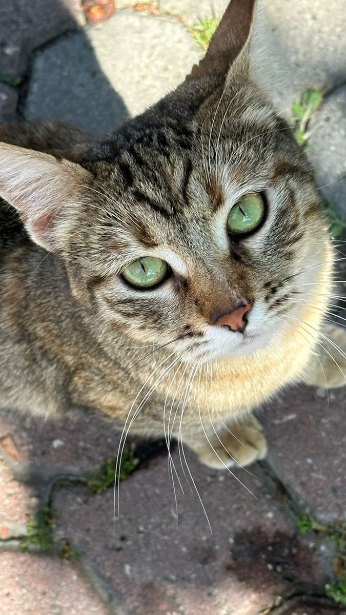 Gökyüzü✨ tweet media