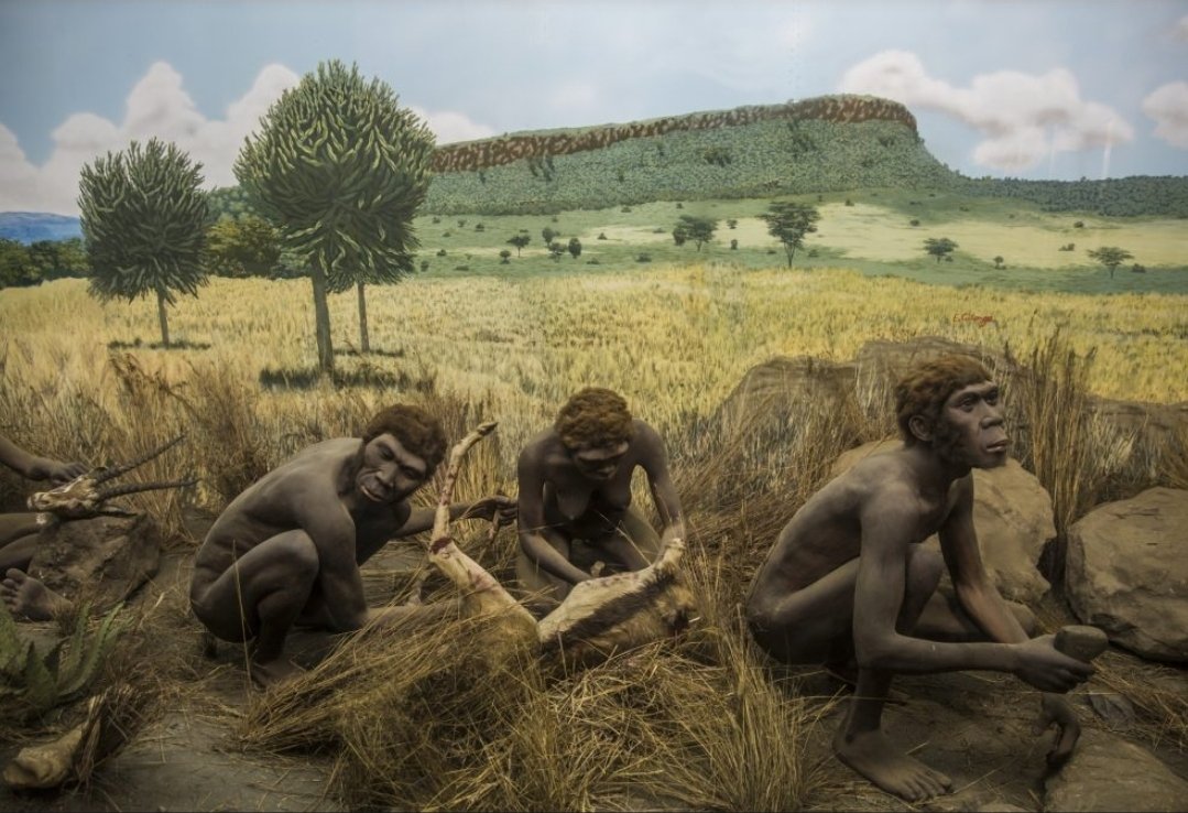 Daishinkan ⭐️⭐️⭐️ tweet media