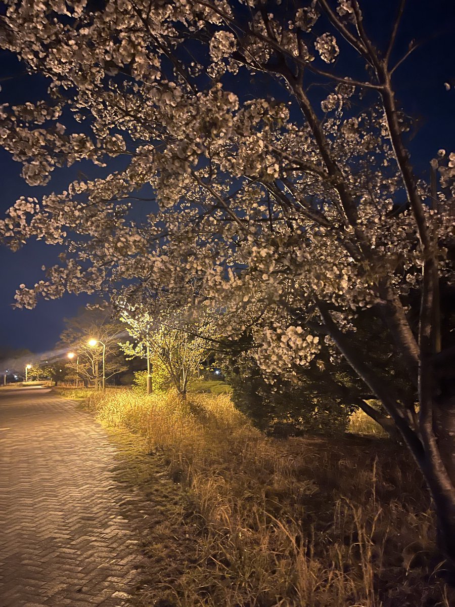 ゆじみん tweet media