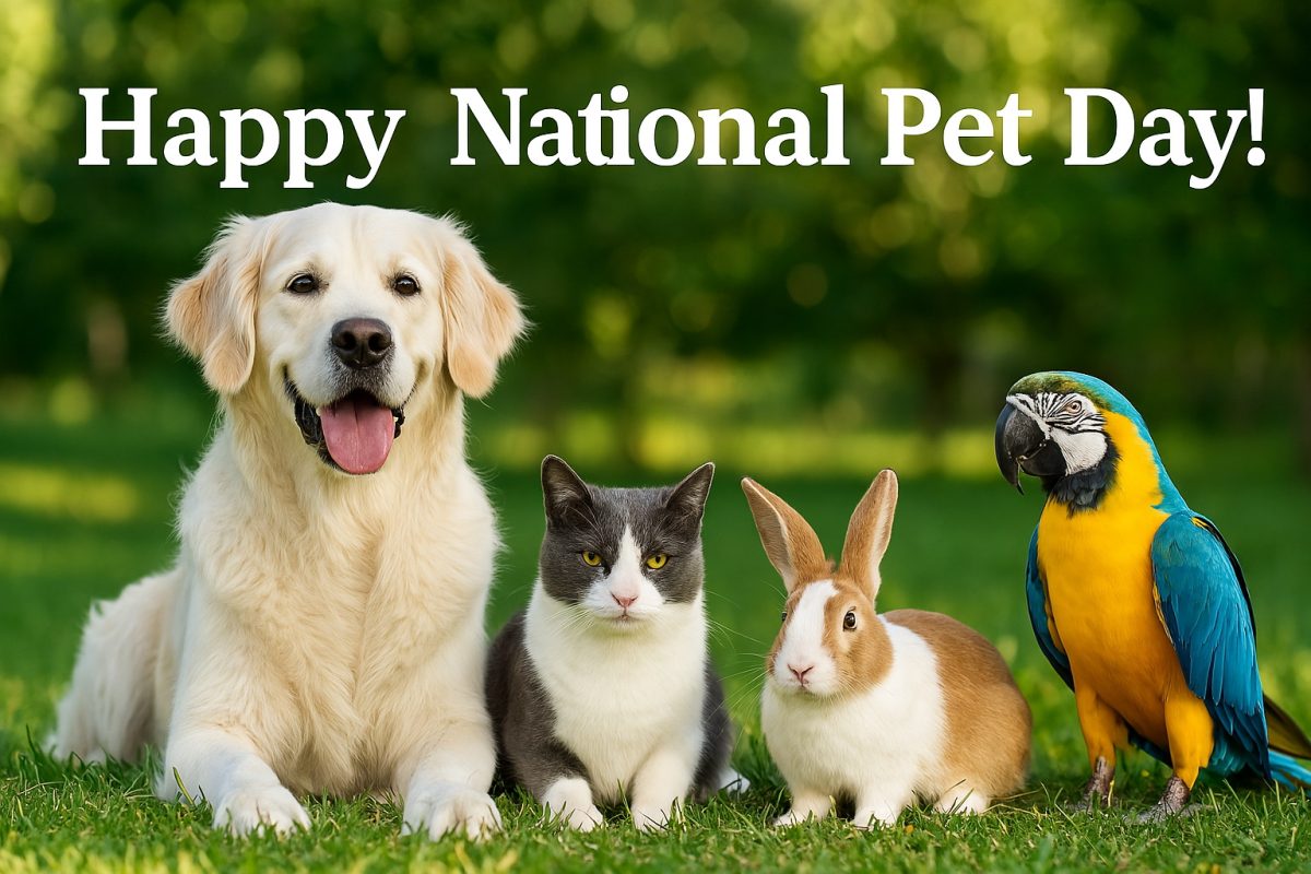 SWilkingHoran's tweet image. #April11 is #NationalPetDay ~ With Hugs &amp;amp; Kisses for all the #pets in our lives. 🐶🐱🐰🐠🦜 #saturdayvibe #weekendvibes #animals #dogs #cats #healthyliving #welbeing #wellness #gratitude