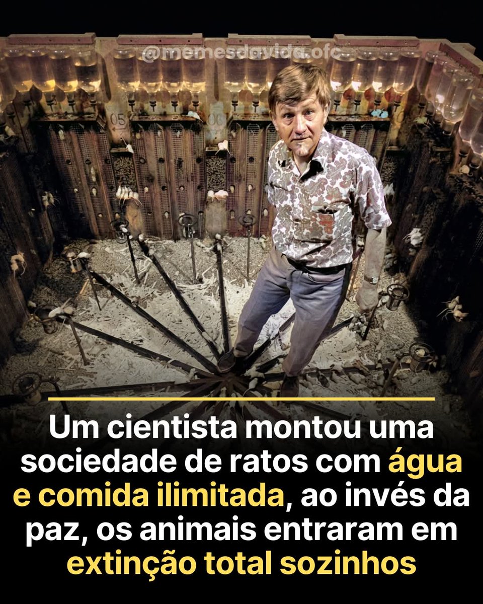 Senso Crítico ⚡ tweet media