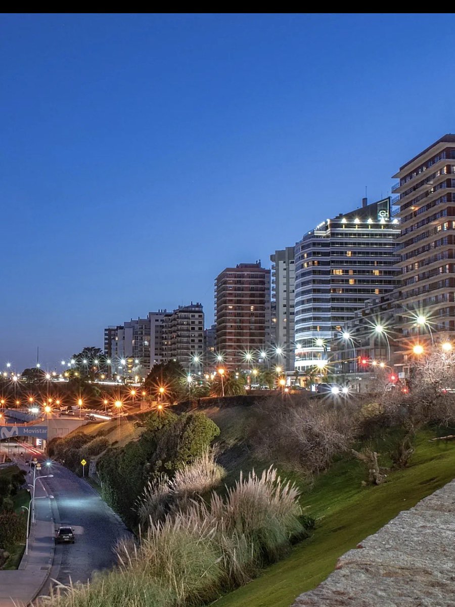 ANA 💛 tweet media