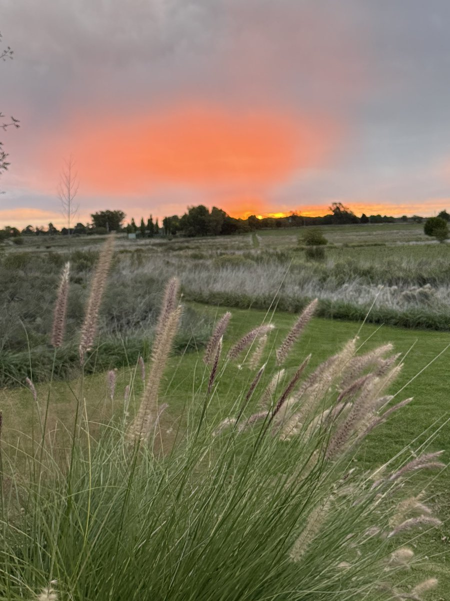 Vivoencharlone  tweet media