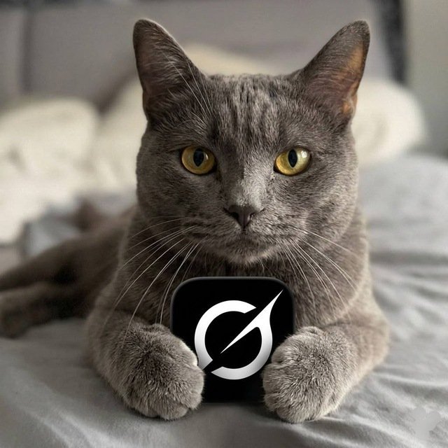 thecryptog11322's tweet photo. @TheCryptoKazi Real hype is building around $MORTIZ

While others talk, Grok delivers.
Bullish on real utility. 

5rn4ZzMQhGCiyiHfCGB6ydBnZ9HvLMhw1mgapBkcpump

Don't fade this one https://t.co/jstqD1eq2M