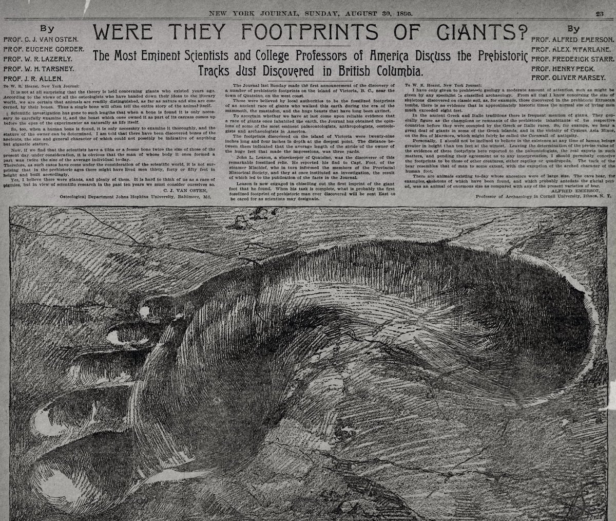 History Hacked tweet media