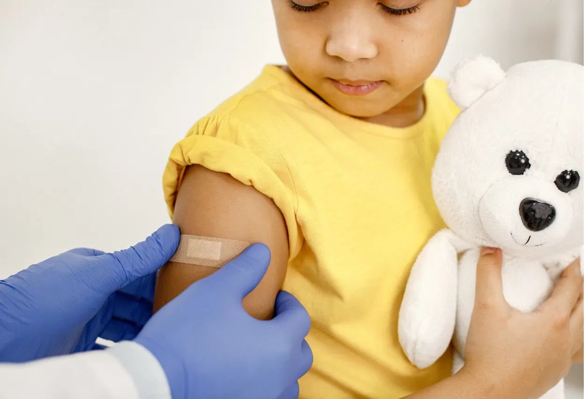 The Vigilant Fox 🦊 tweet media