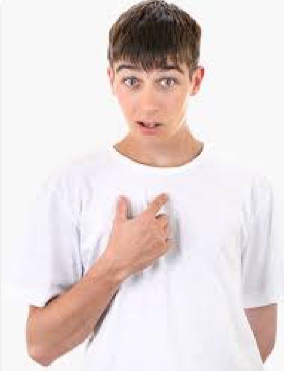 The Sparkyverse🦝🎨🌌 tweet media