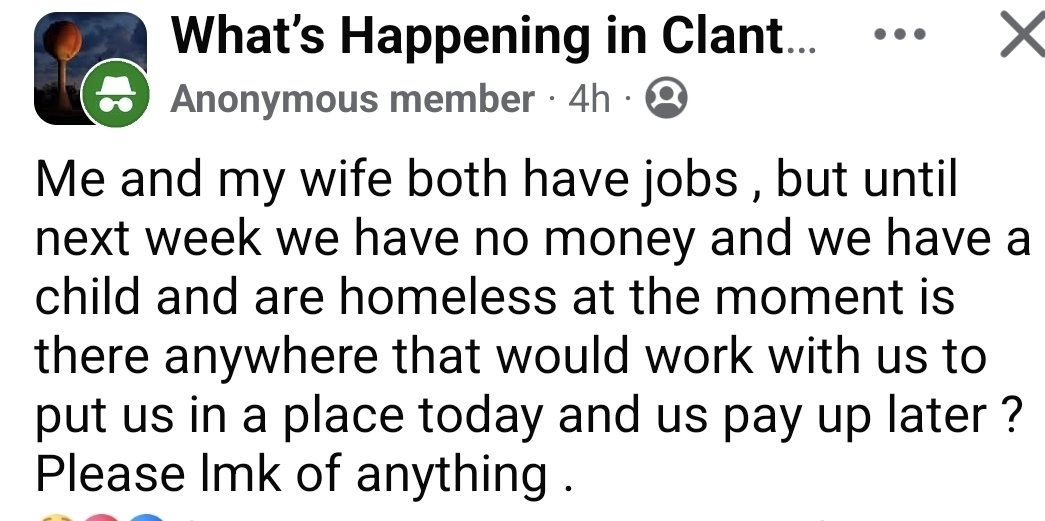 Bluebird tweet media