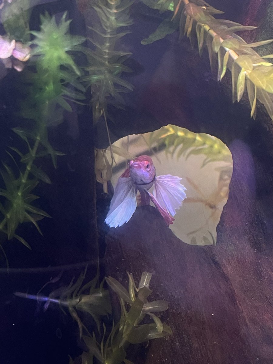 Jill Webb :p tweet media