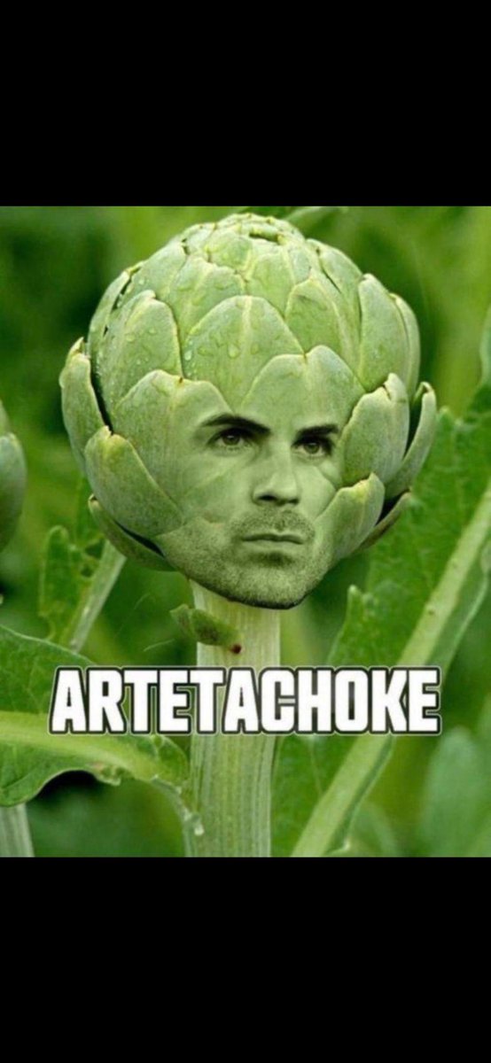 Billy Steedman tweet media