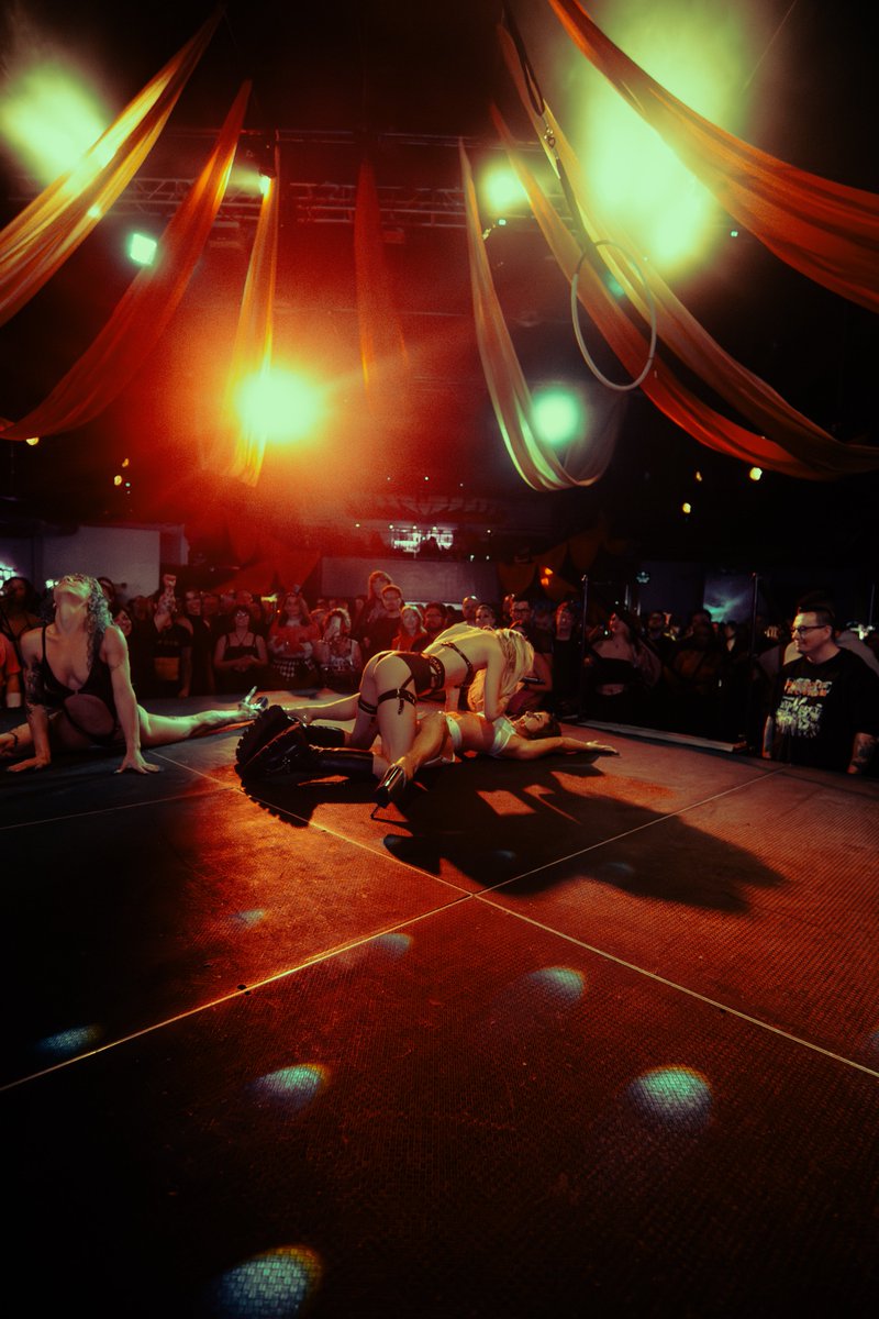 GG MAGREE tweet media