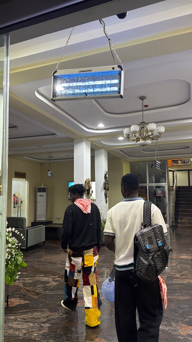 Big Paradise tweet media