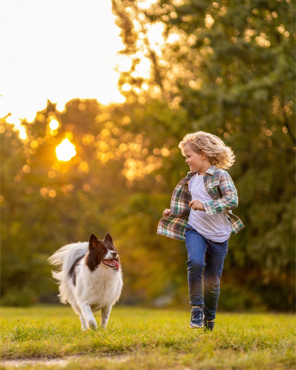 Happy National Pet Day to all the four-legged residents of Arbo 🐾

From morning walks to park adventures, pets are a big part of what makes a neighbourhood feel like home. Today we’re celebrating the companions who turn everyday moments into something special.