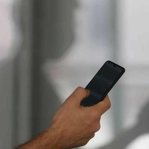 PT Brasil tweet media