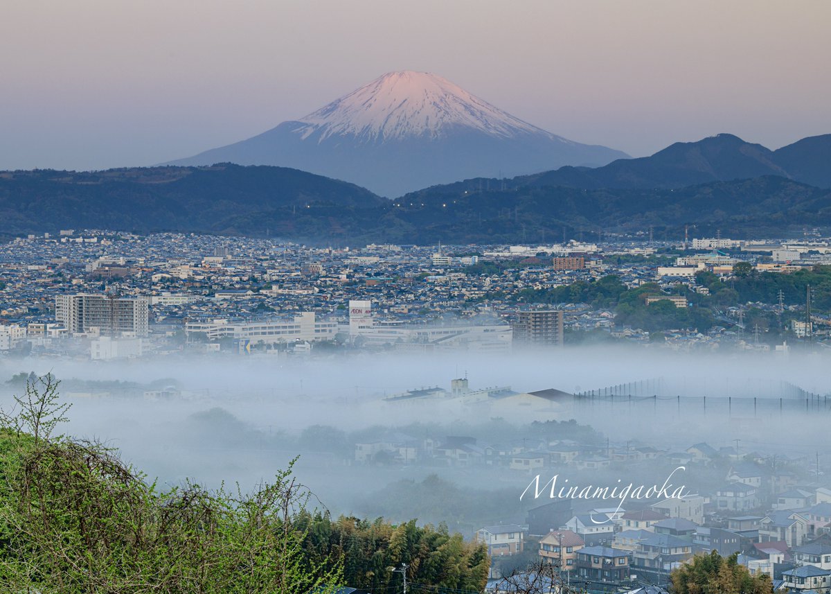 minamigaoka tweet media