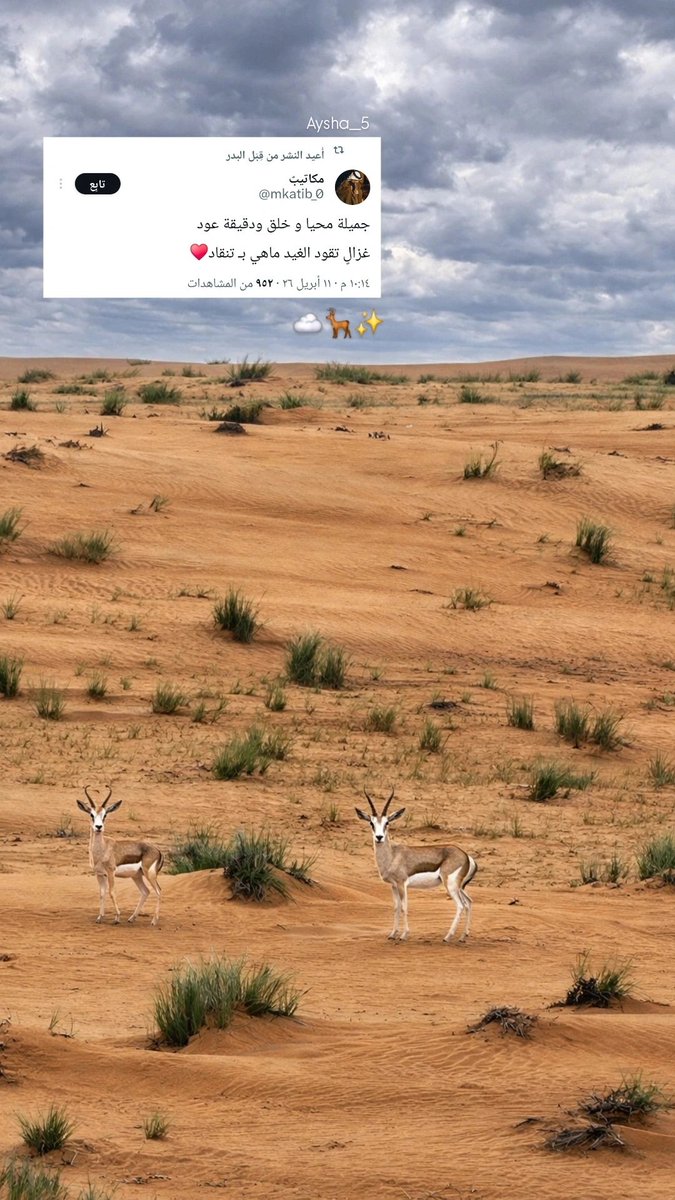 aysha__5's tweet photo. 📸🦌✨️. https://t.co/6aTTvXZEya