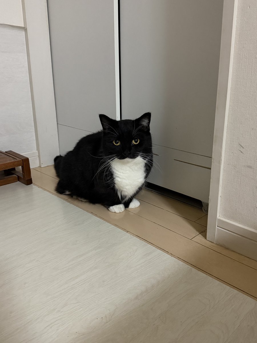 I'm Uni :3 tweet media