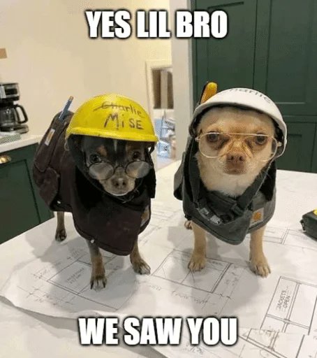 DavidWyns tweet media