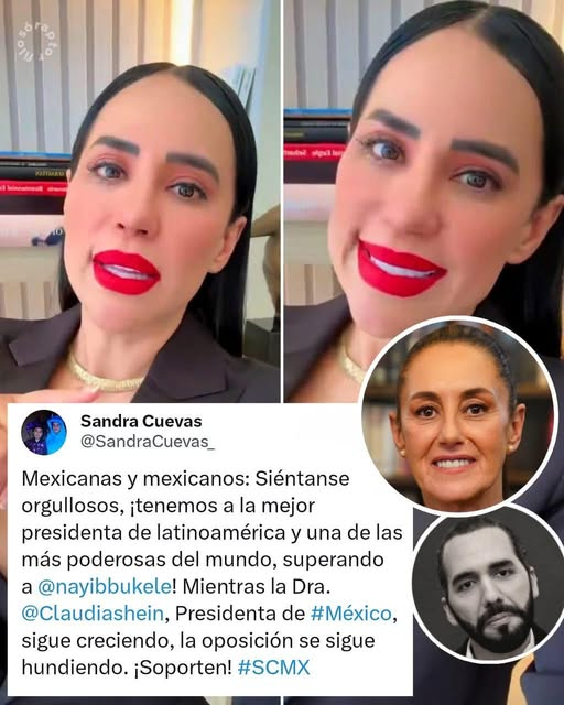 Ana Luisa tweet media