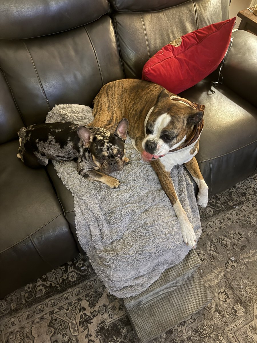 Danny Miami tweet media