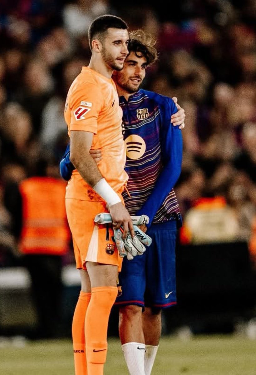 sam 🦈 tweet media