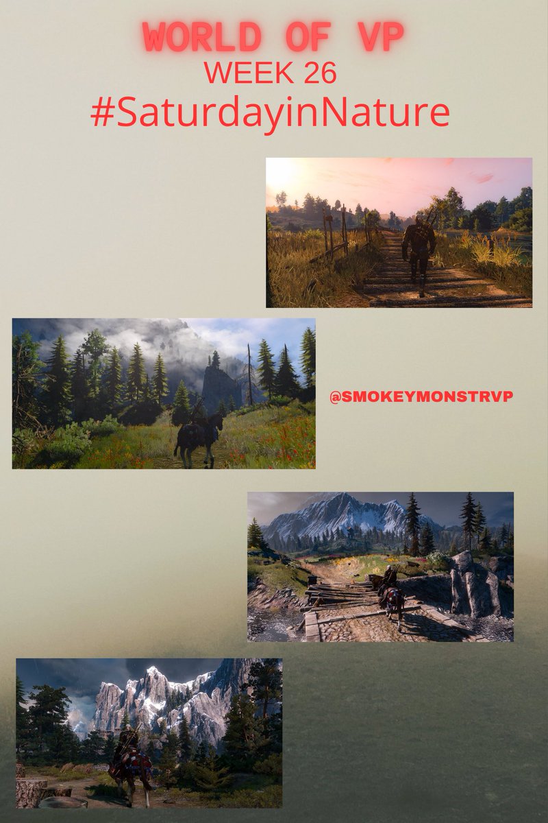 World of VP tweet media