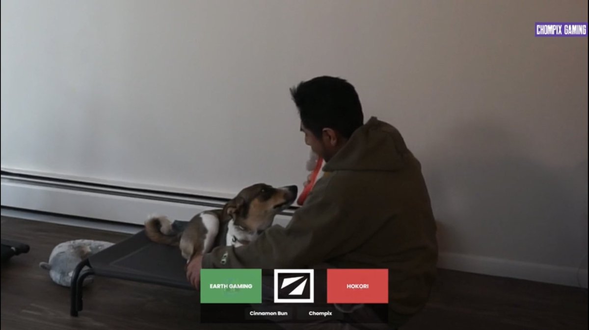 Chompix's tweet photo. We are covering the SA Open Qualifier #2

I will have my special guest analyst, Cinnamon Bun 🐾

She is probably gonna give us biased analysis on the @TeamChandogs vs @earthgaming_gg https://t.co/y70ZSxhNWo