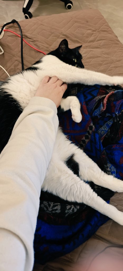 Ночные почесушки