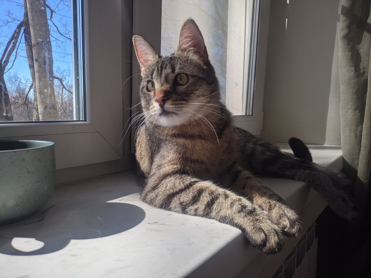 Дюша Эллингтон tweet media