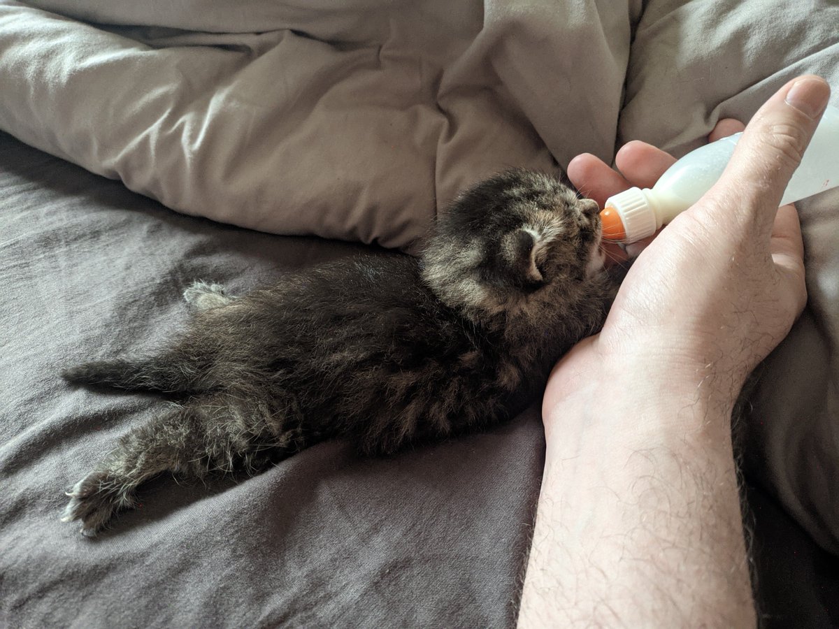 Дюша Эллингтон tweet media