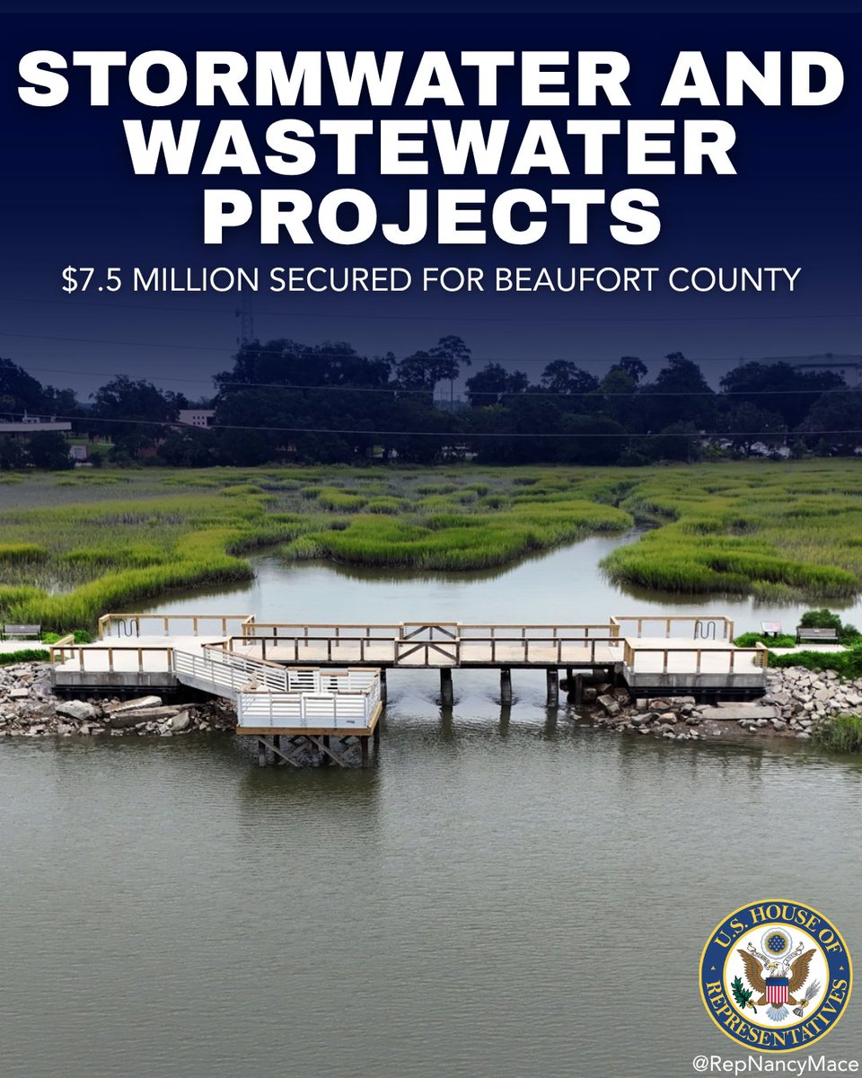 Rep. Nancy Mace tweet media