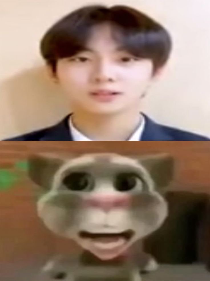 bibi ⁷ tweet media