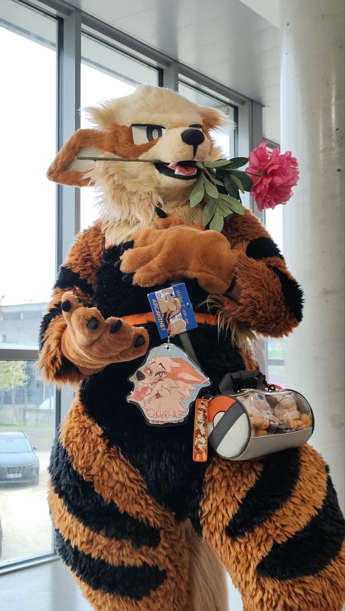 HoundRaiser The Fire Type Wolf #FCD tweet media