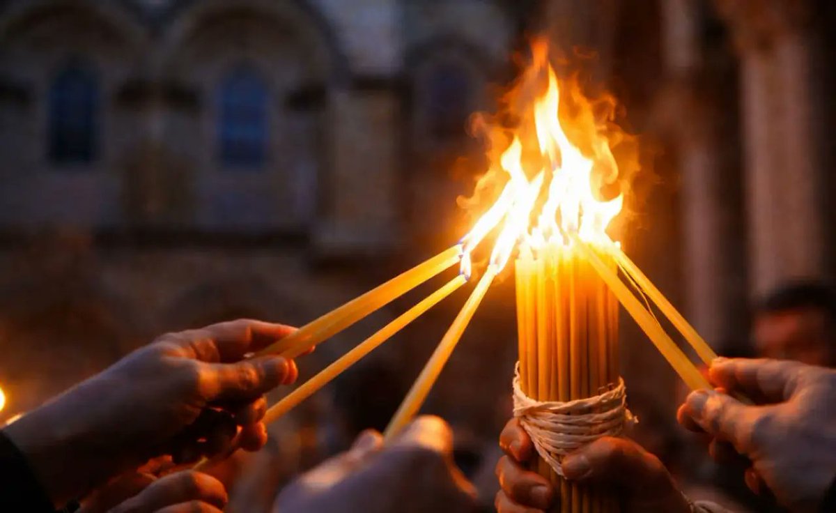 Anna Daryush 🌐 tweet media