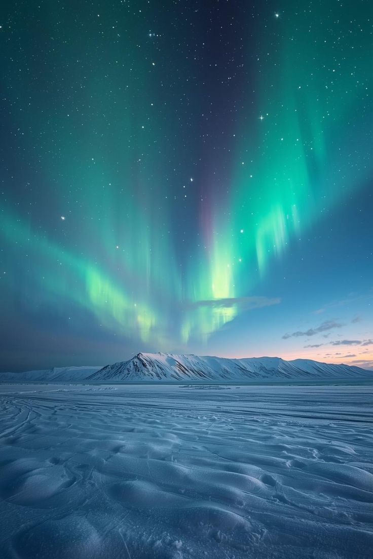 Nature Beauty tweet media