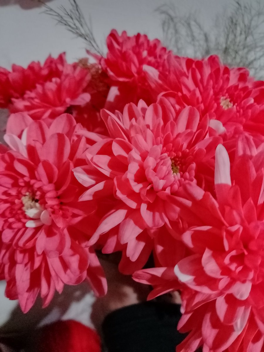 •tati• tweet media