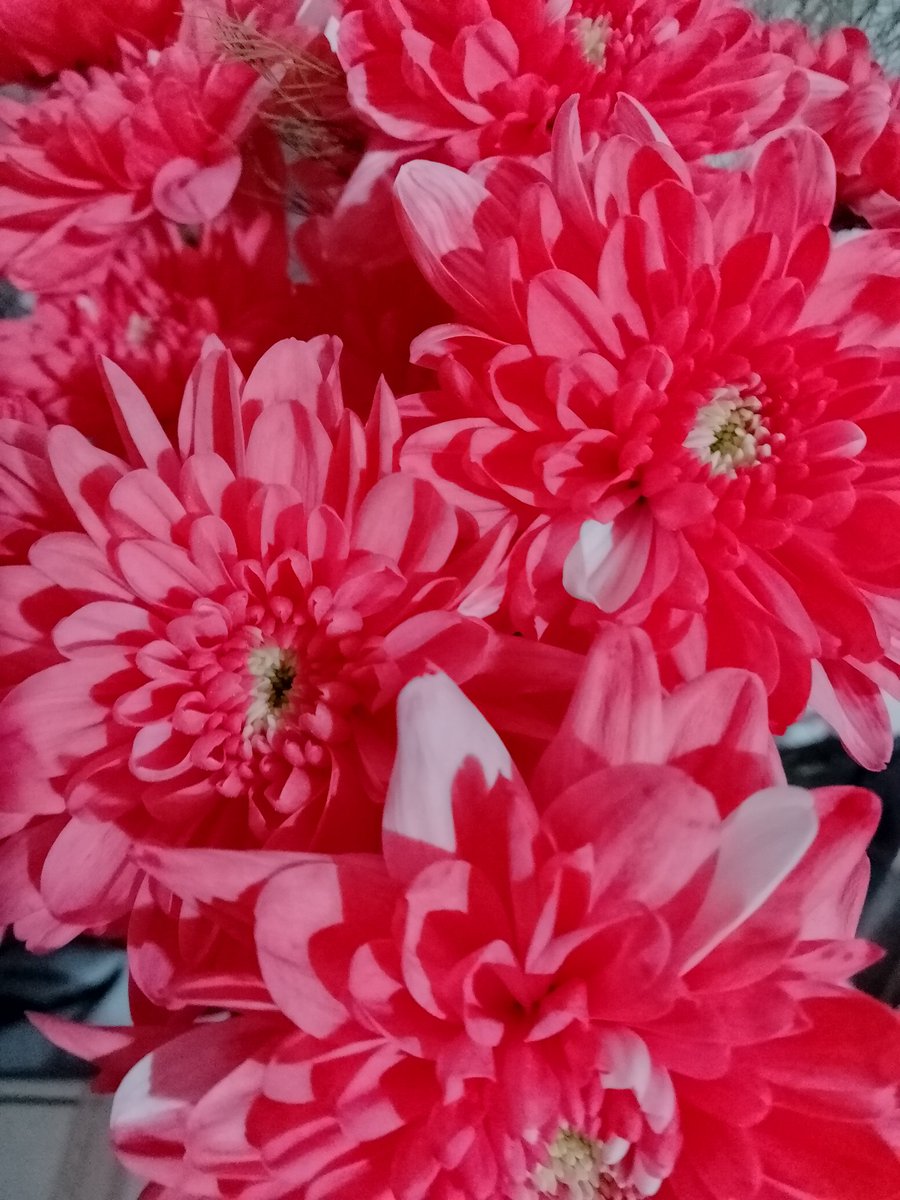 •tati• tweet media