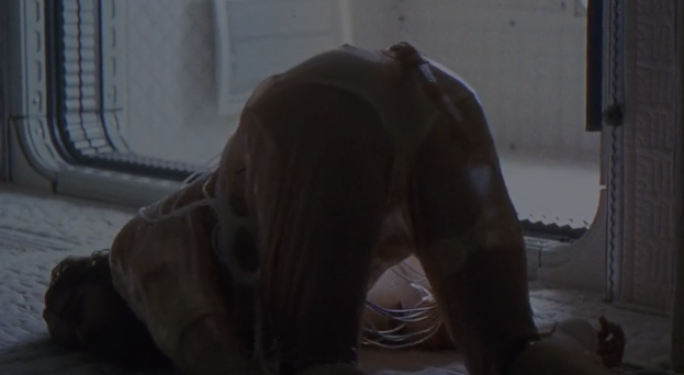 Juru (comms open) tweet media