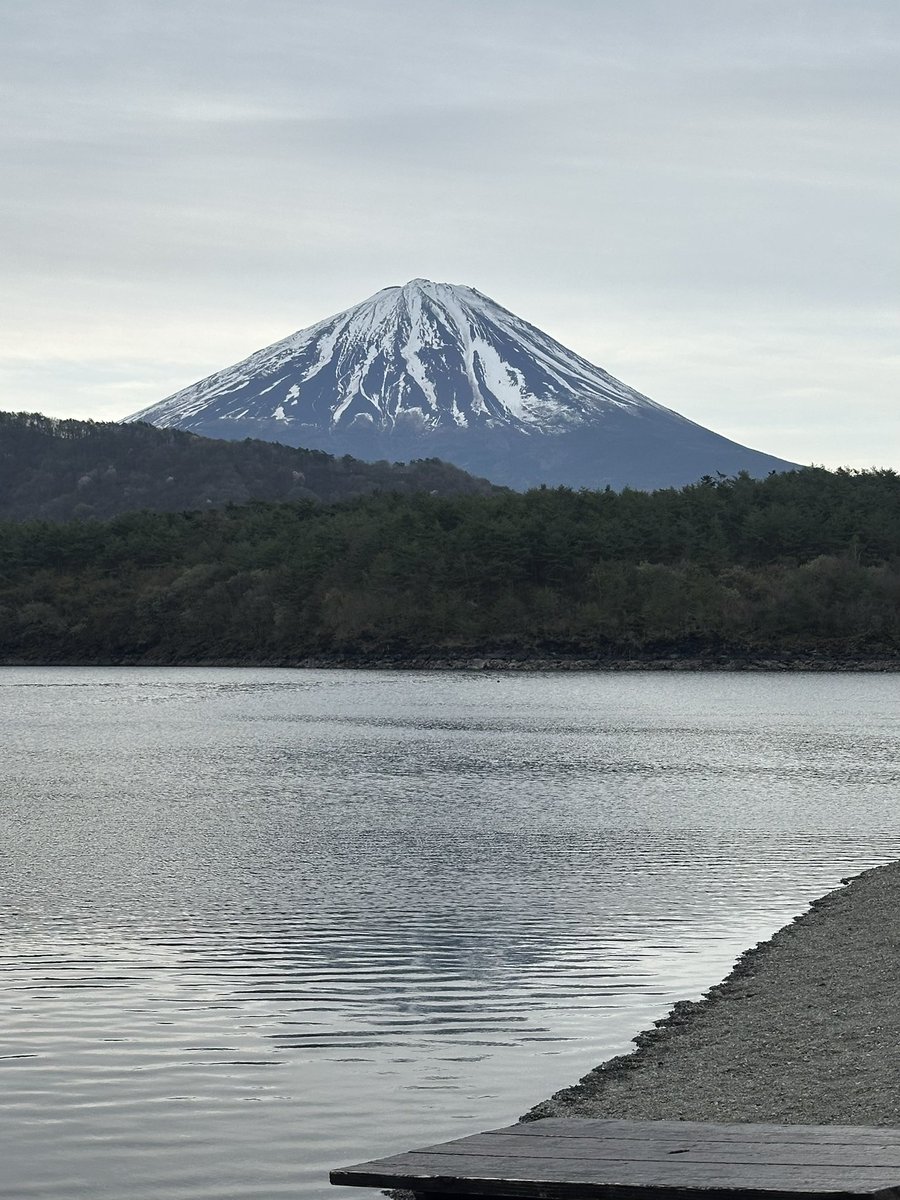 西湖レストハウス tweet media