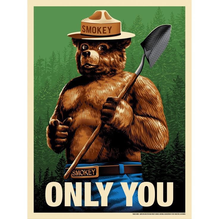 𝚃𝙷𝙴 𝚂𝙽𝙾𝚁𝚃𝙸𝙽𝙶 𝙱𝚄𝙻𝙻 tweet media