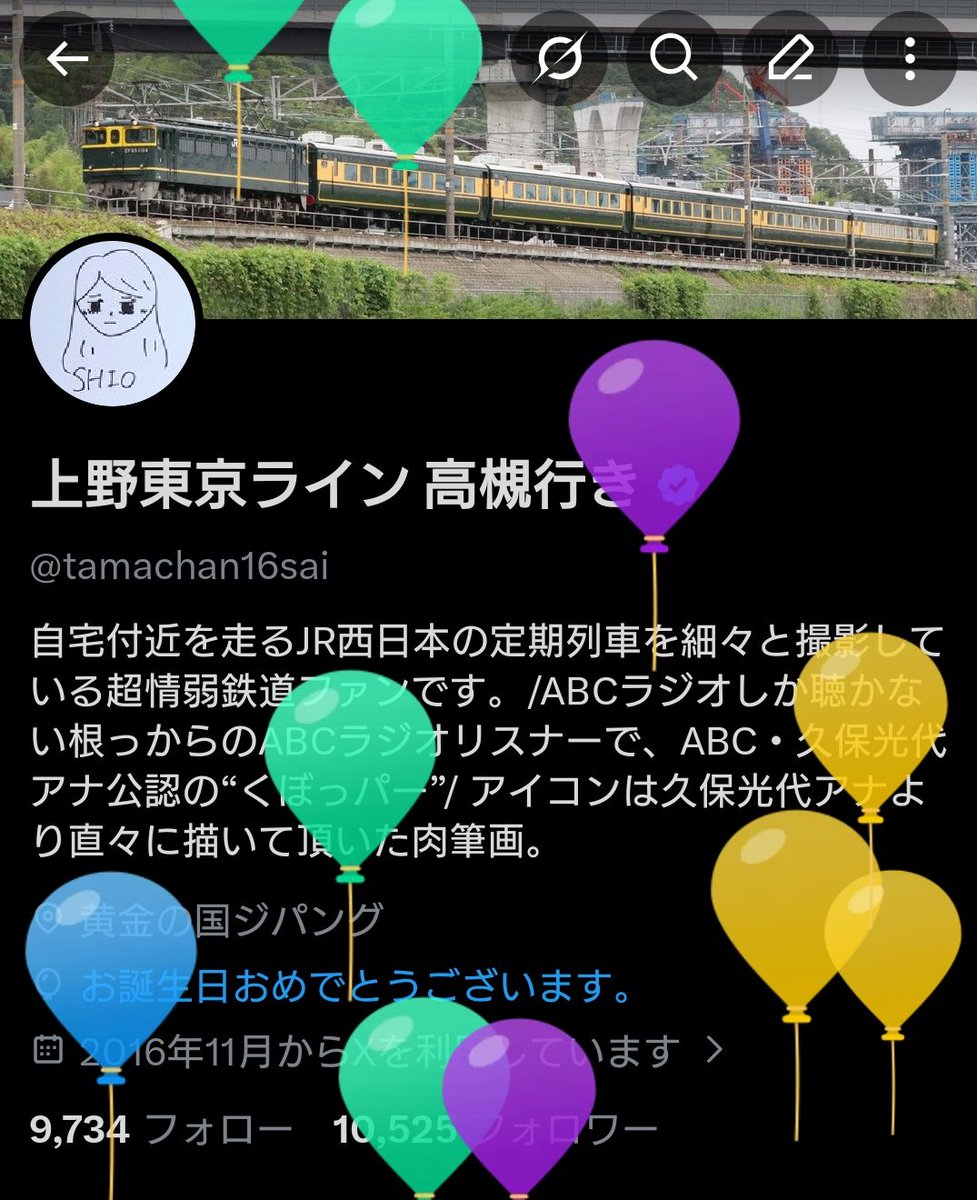 🐈️タマちゃんの、記念日🐈️ お陰様で今年も無事に風船が上がりまし